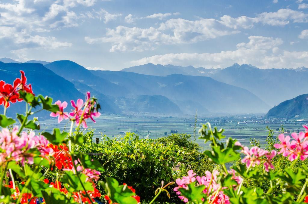 Pension Etschblick B&B Frangarto Εξωτερικό φωτογραφία